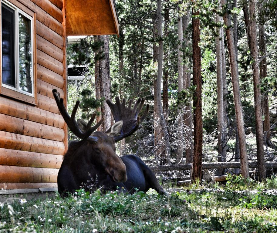 Daven Haven & Lodge
